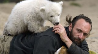 Museumsdirektor: Hype um Eisbär Knut kaum mehr spürbar