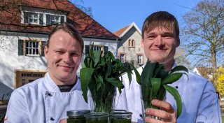 Köche aus Borgholzhausen verraten ihre Lieblingsrezepte: Bärlauch im Trend