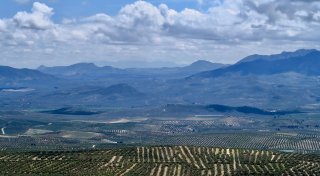 Olivenland: Auf den Spuren deutscher Siedler in Andalusien