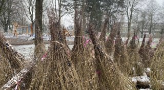 Mit Vollsperrung: So geht es mit den Arbeiten im Paderauenpark weiter