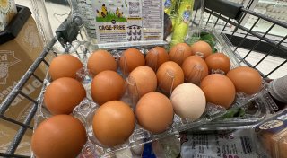 Shutdown: Amerikaner können doch auf Lebensmittelgeld hoffen