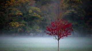 Temperaturen um den Gefrierpunkt: Am Wochenende wird es kühler in OWL