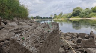 Weserpegel, Dorffest und Einzelhandel: Kompaktnews aus dem Kreis Höxter