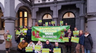 Ende der Baumschutzsatzung steht fest: Das müssen Paderborner trotzdem beachten