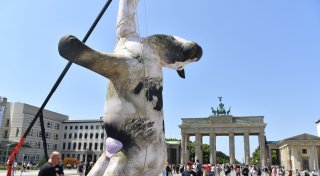 Kuh-Attrappe am Brandenburger Tor