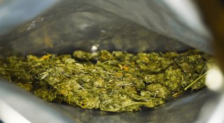 72 Kilo Marihuana: Höxteraner „Gras-Importeur“ legt Geständnis ab