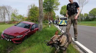 Bielefelder Diensthündin „Jette“ stellt Einbrecher in Toilette