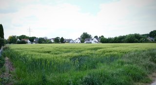 Neue Grundsteuer für Ackerflächen und Weiden führt zu Bürokratie-Flut in Herford und NRW