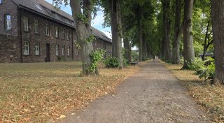 Umgestaltung am Friedhofswall in Höxter steht nichts mehr im Weg