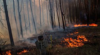 Ukraine-Krieg heizt Klimakrise an - 237 Millionen Tonnen CO2