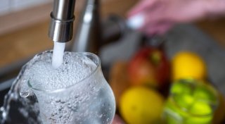 Trinkwassernetz ist ein Lebensraum für Tiere