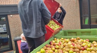 Spendensturm und Apfelflut in Spenge: Nach 3.000 Kilogramm Äpfeln gilt Aufnahmestopp