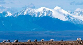 US-Klimabehörde: «Dramatische Veränderungen» in der Arktis