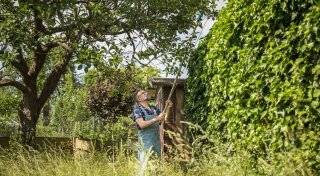 Hecken und Bäume: Was gilt rechtlich im Garten?