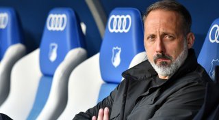 Hoffenheim-Coach verärgert über Trainer-Diskussion