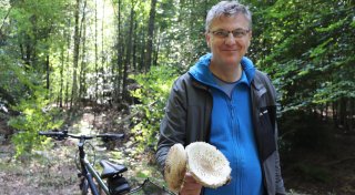 Pilzsaison im Kreis Gütersloh: Experten warnen vor tödlichen Gefahren im Wald