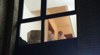 Tödliche Gewalt in Hamburg: Tatverdächtige Frau festgenommen