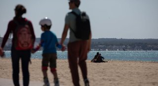 Blaue Überraschung: Strände auf Mallorca voller Quallen