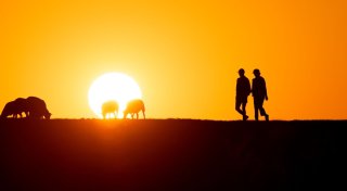 Auch 2024 laut Deutschem Wetterdienst wärmstes Jahr