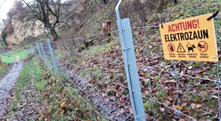 Was ist los am Doberg in Bünde? Ein kleiner Spaziergang