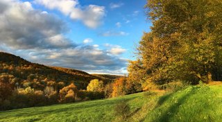 Nationalpark-Ersatz: Paderborns Landrat präsentiert Ideen für „Naturpark Plus“