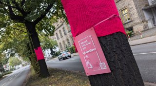 Bäume in Herford mit pinken Schals umwickelt - das steckt dahinter
