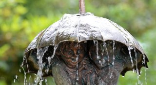 Siebenschläfertag 2025: So treffsicher ist die Bauernregel