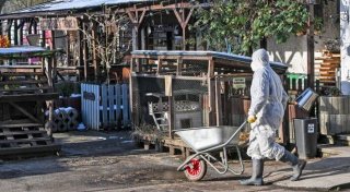 Maul- und Klauenseuche in Deutschland: Bielefelder Landwirte in Aufruhr