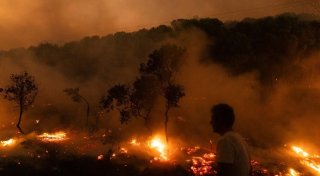 Bericht: 2023 eines der schlimmsten Waldbrandjahre in Europa
