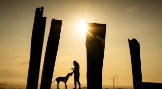 Kläffen, springen, jagen: Wie man es Hunden abgewöhnt