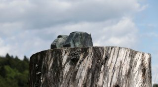 Statue von Melania Trump in Slowenien gestohlen