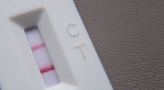 Kein Anstieg der Corona-Variante XEC - Risiko eher gering