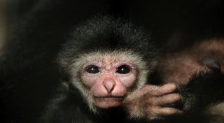 News aus dem Tierpark Ströhen: Vom tierischen Nachwuchs und höheren Preisen