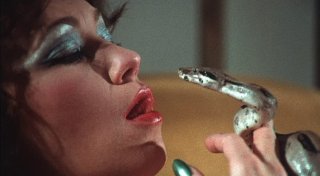„Heiliges Verlangen“: Pornofestival in Paderborn steht unter neuem Motto