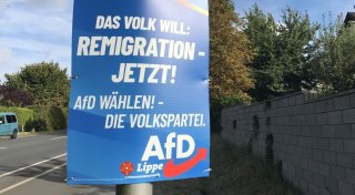 AfD-Erfolg bei Integrationsratswahl in Detmold: Was das Ergebnis bedeutet