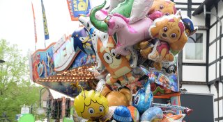 Besucherrückgang beim Kirschblütenfest in Enger