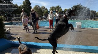 Besonderes Hunde-Event im Kreis Gütersloh lockt Menschen aus ganz Deutschland an