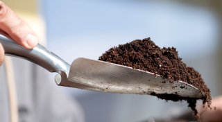 Torffreie Erde benutzen und etwas fürs Klima tun