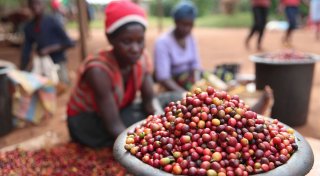 WTO: Welthandel allein hilft nicht gegen Armut