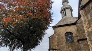 Kirche hat kein Geld: 100 Jahre alter Baum in Willebadessen muss weichen