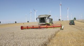 Landwirte im Kreis Paderborn kommen mit einem blauen Auge davon