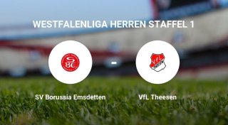 Enger Ausgang für VfL Theesen gegen SV Borussia Emsdetten