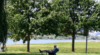 Städte im Hitze-Check: Heißes Mannheim, kühles Hattingen