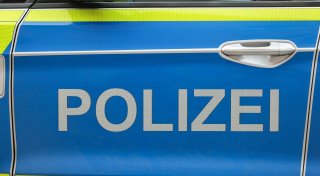 Großkatze im Süden Sachsen-Anhalts gesichtet