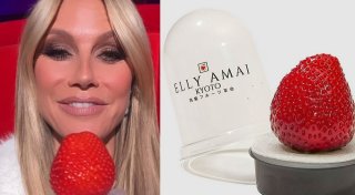 Bielefelder Obstbauer kritisiert Tiktok-Trend: Luxus-Erdbeeren für 18 Euro