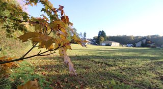 Anwohner klagen gegen riesigen Post-Stützpunkt im Bielefelder Norden