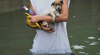 Wetterchaos auf den Philippinen - 280.000 Menschen obdachlos