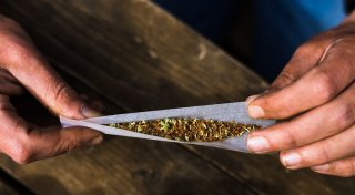 Psychiater: Beobachte Zunahme von Cannabis-Konsum