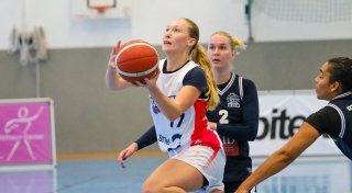 Lady Dolphins starten stark gegen den DTV Köln- brechen dann aber ein