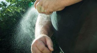 Drei Tipps: So geht guter Schutz vor Mückenstichen